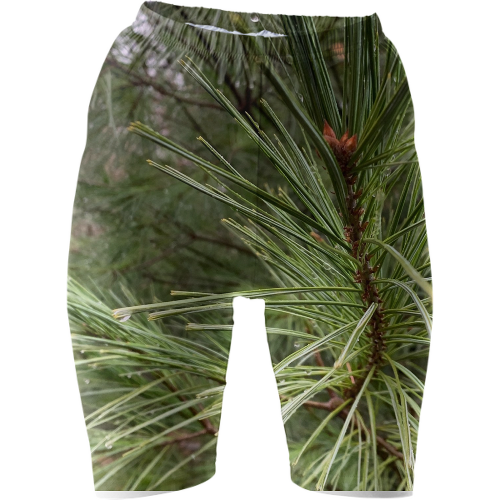 pine pants