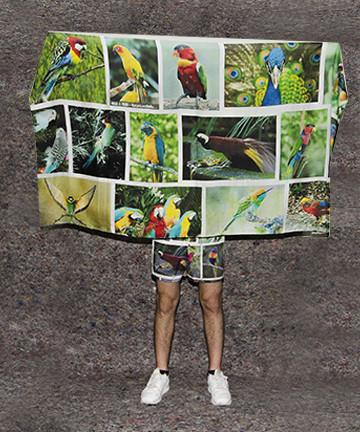 PAOM, Print All Over Me, digital print, design, fashion, style, collaboration, frank-traynor, frank traynor, Scarf, Scarf, Scarf, The, Perfect, Nothing, Catalog, Sarong, Aidan, Koch, world, most, colorful, bird, autumn winter spring summer, unisex, Rayon, Accessories