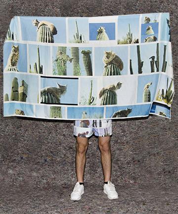 PAOM, Print All Over Me, digital print, design, fashion, style, collaboration, frank-traynor, frank traynor, Scarf, Scarf, Scarf, The, Perfect, Nothing, Catalog, Sarong, Landon, Metz, bobcat, cactus, autumn winter spring summer, unisex, Rayon, Accessories