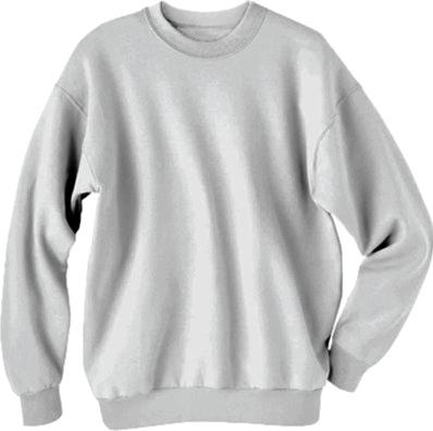 Dendrites Sweatshirt