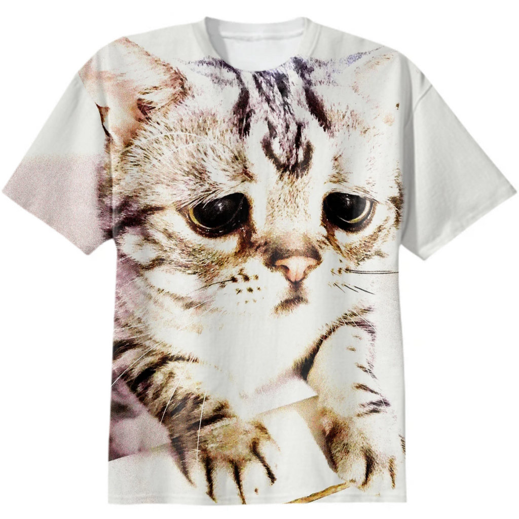 LUHU (THE SADDEST CAT IN THE WORLD