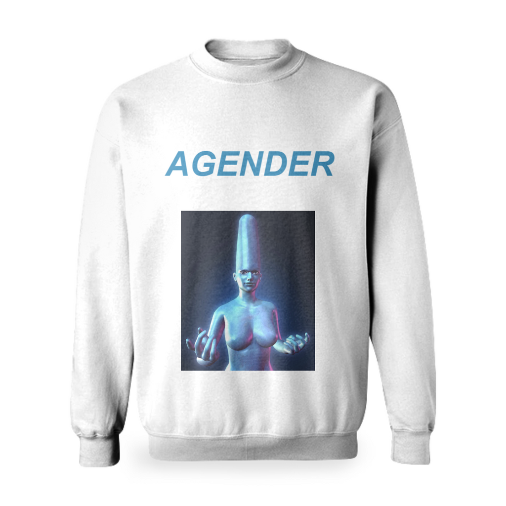 AGENDER