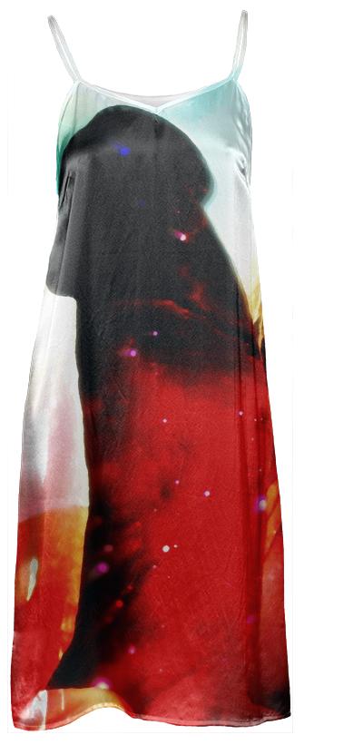 Art Monolith Slip Dress