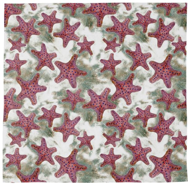 Starfish bandana