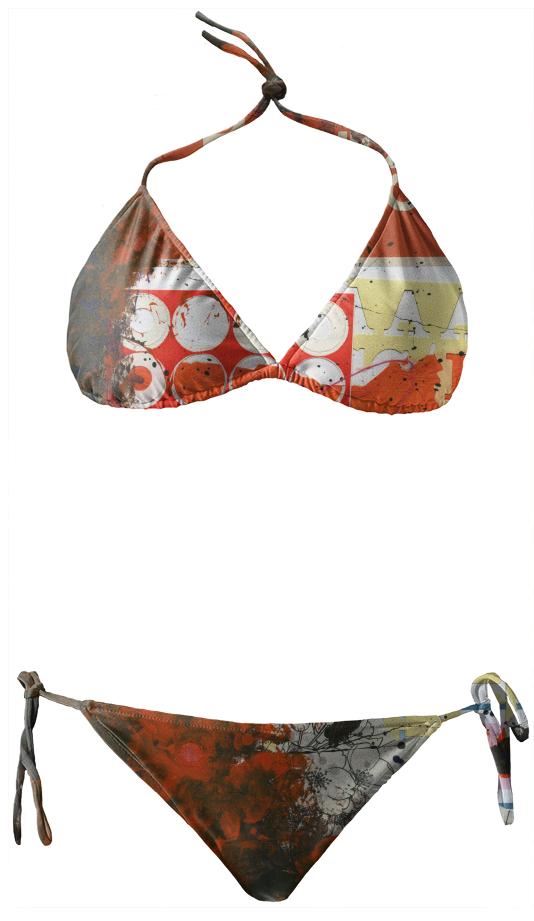 Vintage Bikini