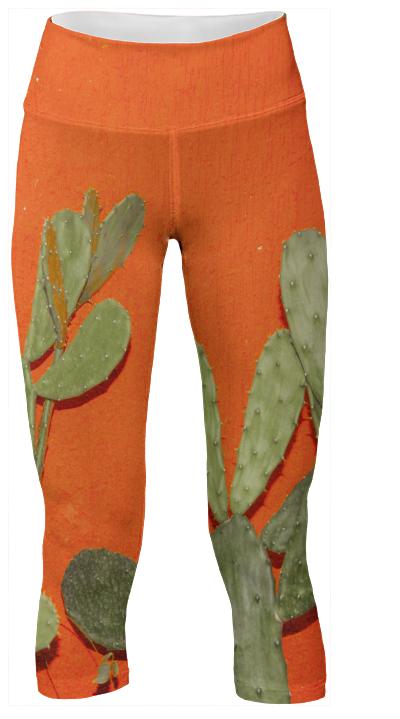 To Cacti For Pant