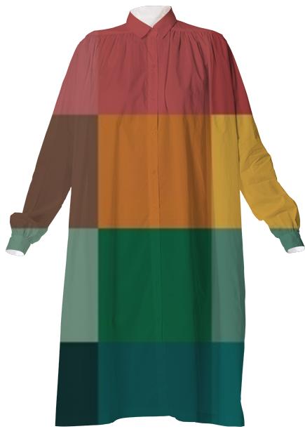 Colorblock VP Shirtdress