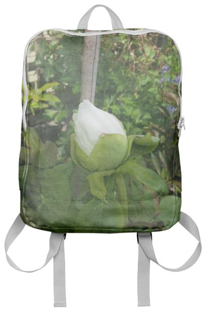 cloud rose backpack