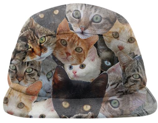 Cat Collage
