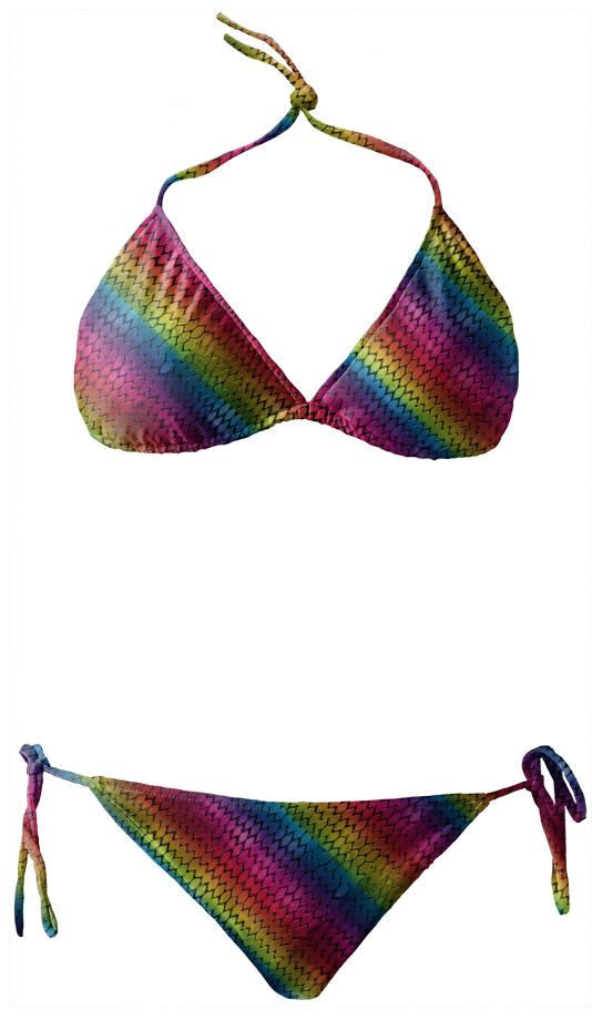 Rainbow Dragon Scales Bikini