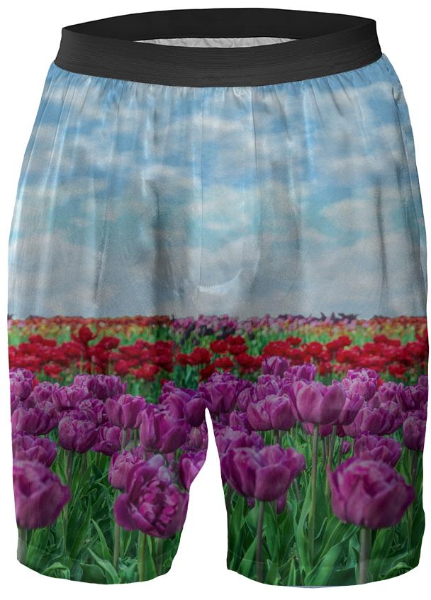 Tulip Field Boxer Shorts