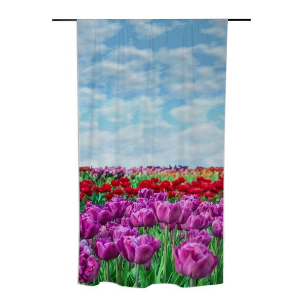 Tulip Field Curtain