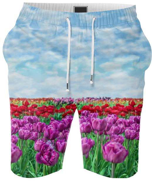 Tulip Field Summer Shorts