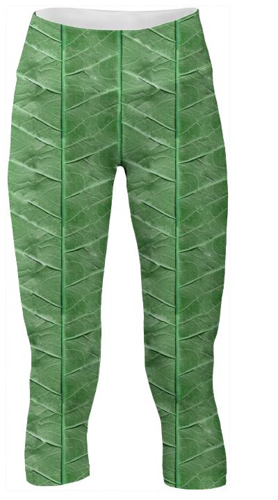 Veined Green Leaf Yoga Pants