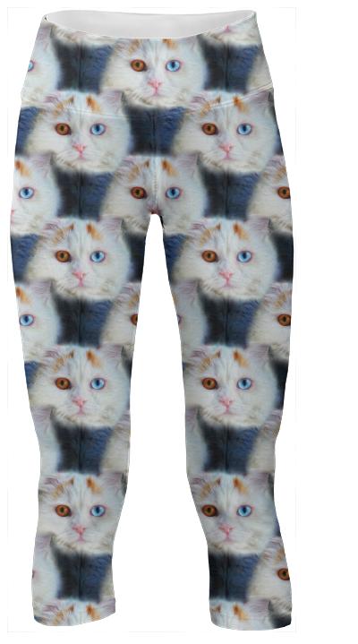 Odd Eyed White Persian Cat Yoga Pants