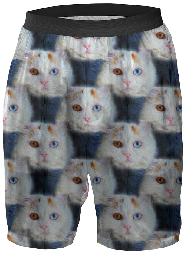 Odd Eyed White Persian Cat Boxer Shorts