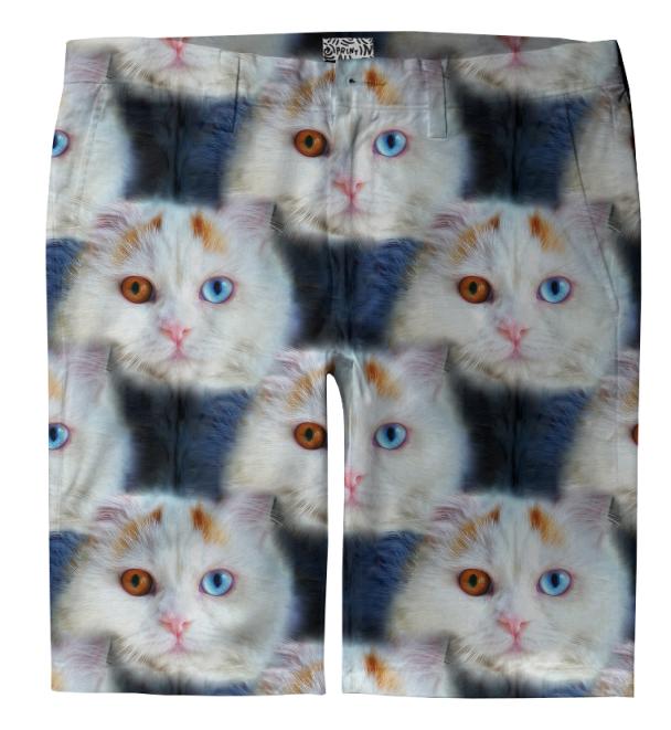 Odd Eyed White Persian Cat Trouser Shorts