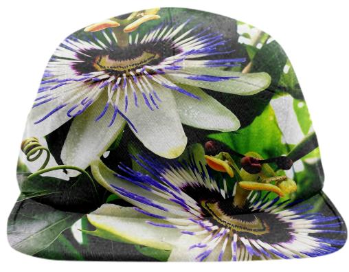 Passion Flower Power