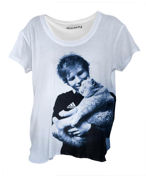 Ed Sheeran Cat with blue tint