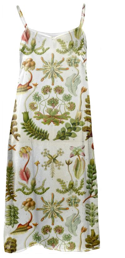 Botanical Slip Dress