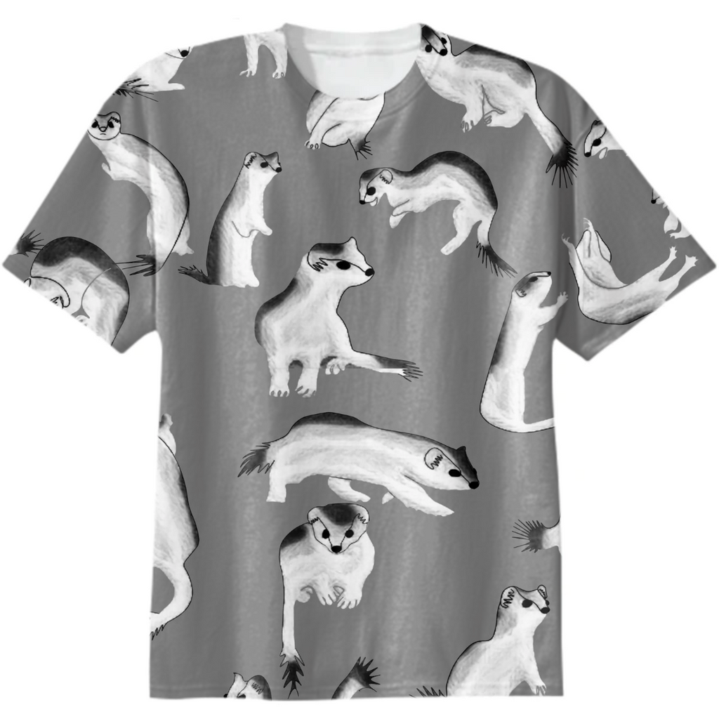 weasel, ermine, marten, cute animals, white, fluffy, gray background