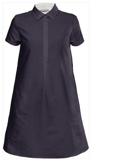 PS Mini Shift Dress