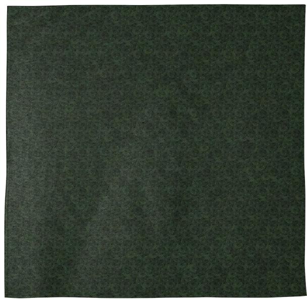 OKC 054 Photosynthesis