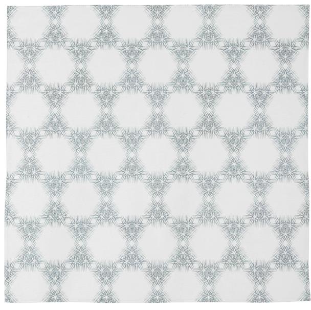 OKC 066 Spores from Outer Space