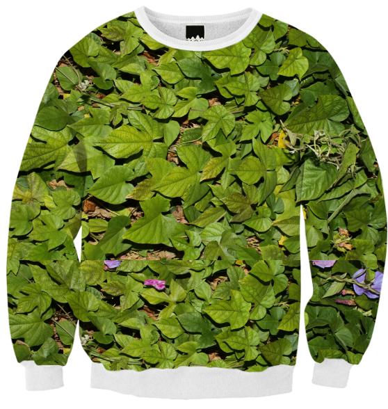 Ivy ribbed sweatshirt