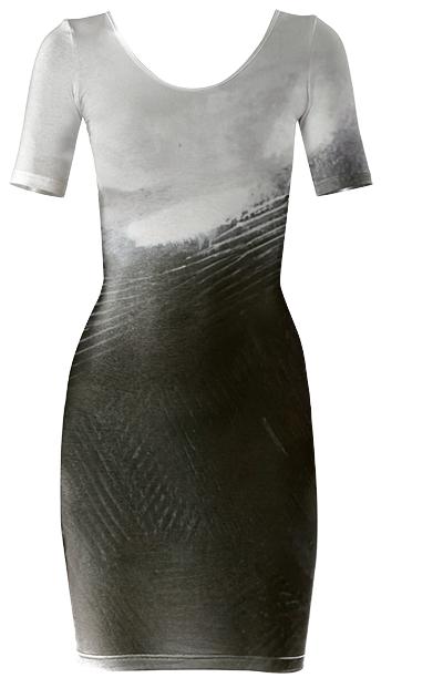 THIS IS THE DRESS BLACK WHITE