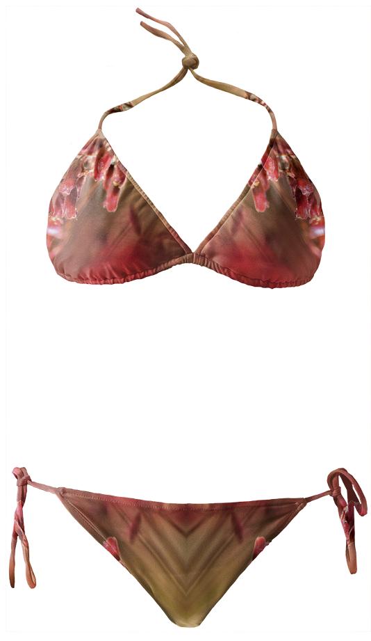 RED SPANGLES no1 Bikini 2