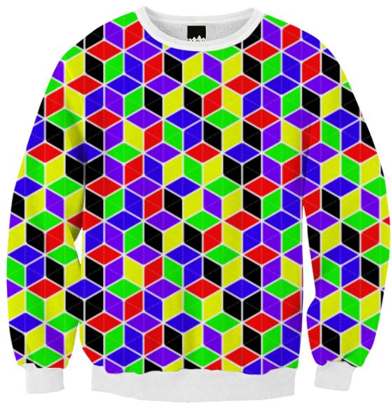 ColorBLOCKED Sweatshirt