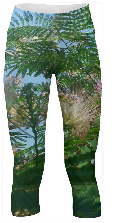 Mimosia Yoga Pants