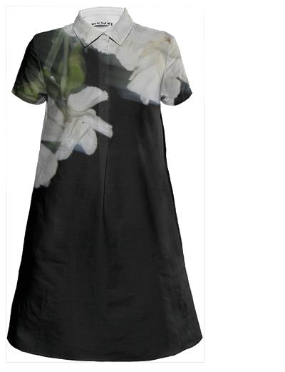 Carnation Blur Shirtdress