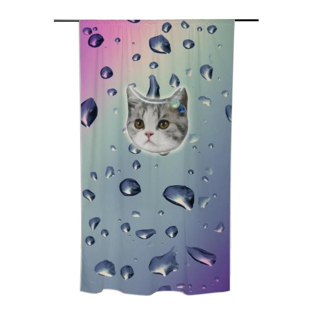 kitty curtain