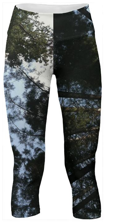 Sequoia Sky Yoga Pants