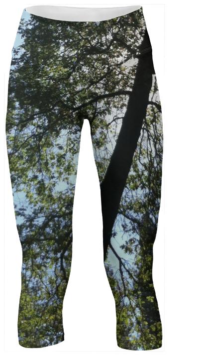 Branches Yoga Pants