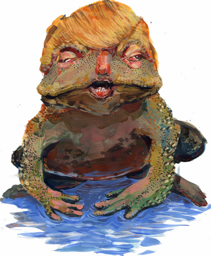 The DC Swamp
