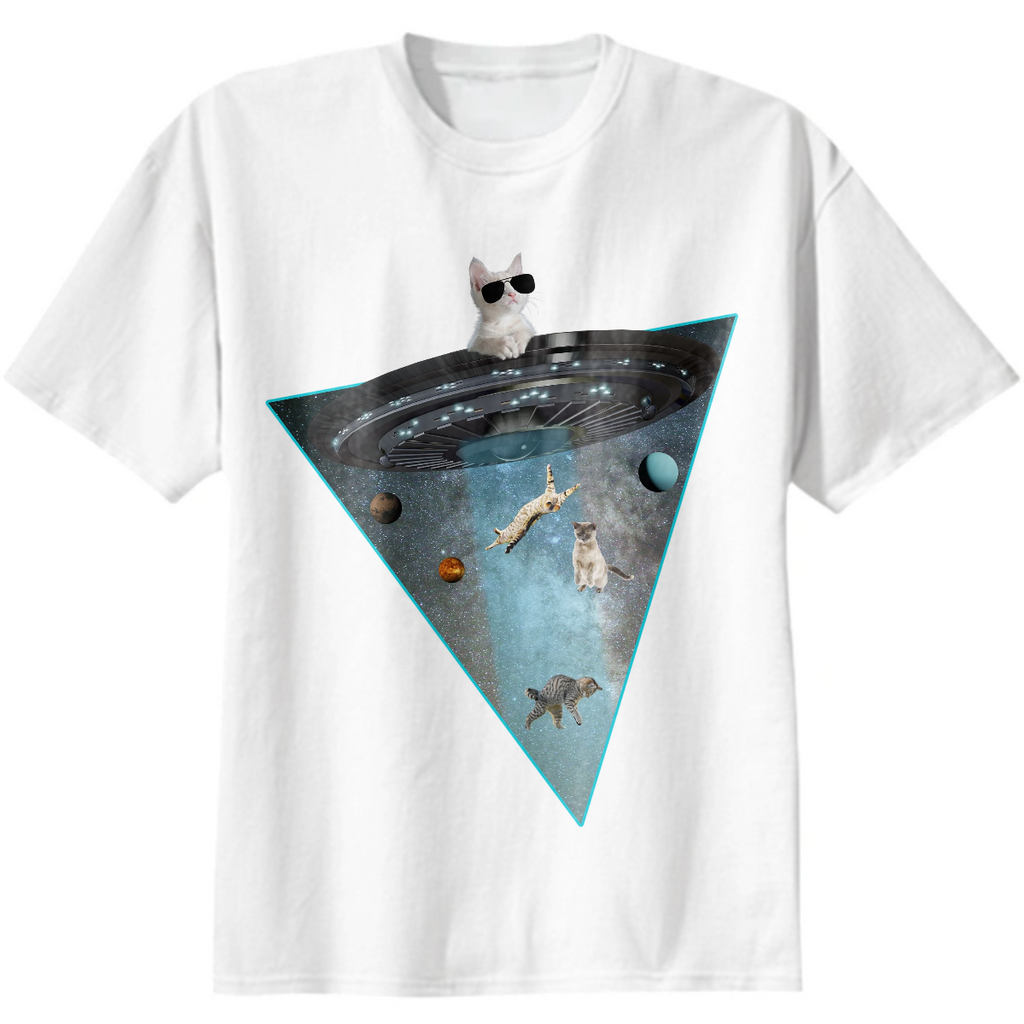 Cats Abduction By An UFO.