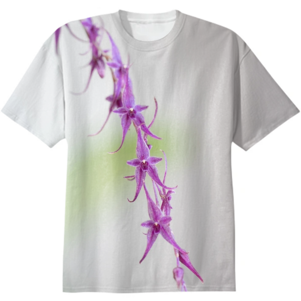 Lepanthopsis astrophora x peniculus 1