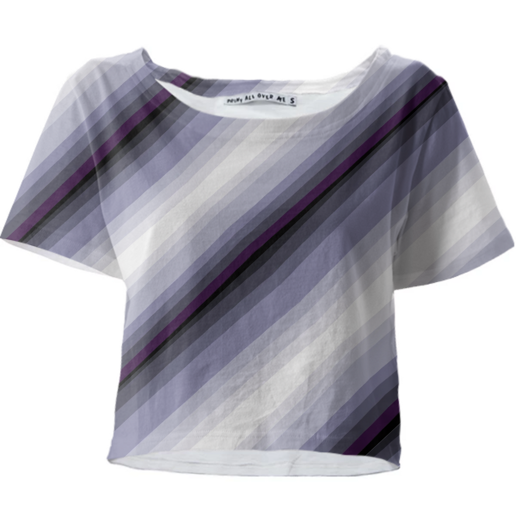 Blur Pin Strip Cropped T-Shirt