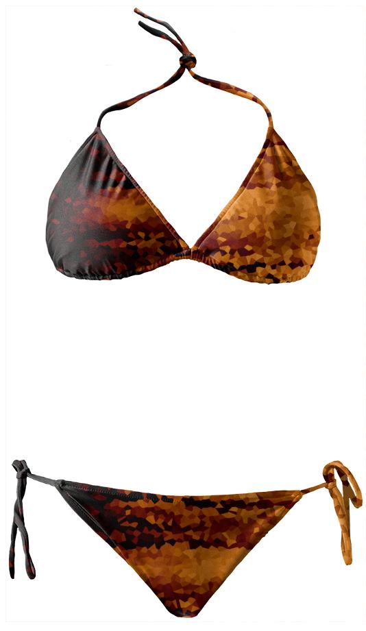 Brown Copper Bikini