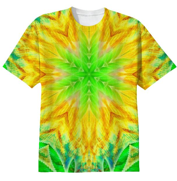 Cosmic Spiral KLS 31 T Shirt