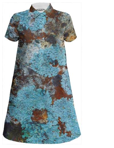 Showing 1 4 of 4 BLUEISH LICHENS ON A ROCK