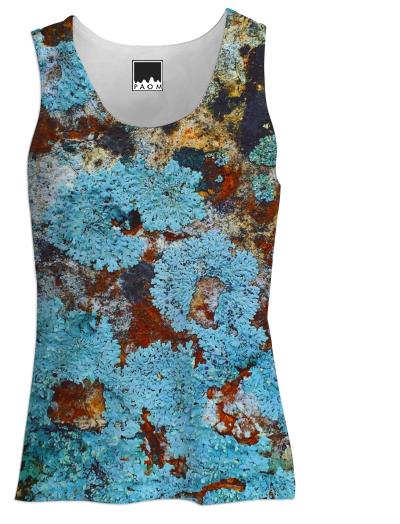 BLUEISH LICHENS ON A ROCK