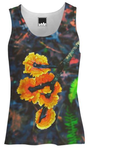 Orange Fungi Twig Halos