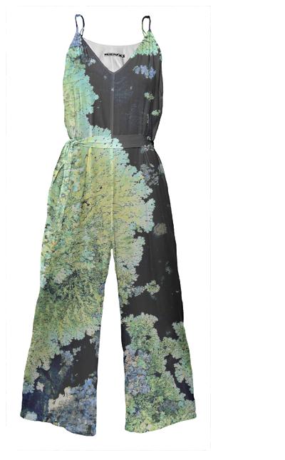 Showing 1 4 of 4 SHIELD LICHENS ON A ROCK