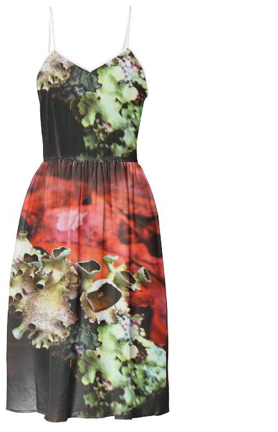 Funky Lichens Dress