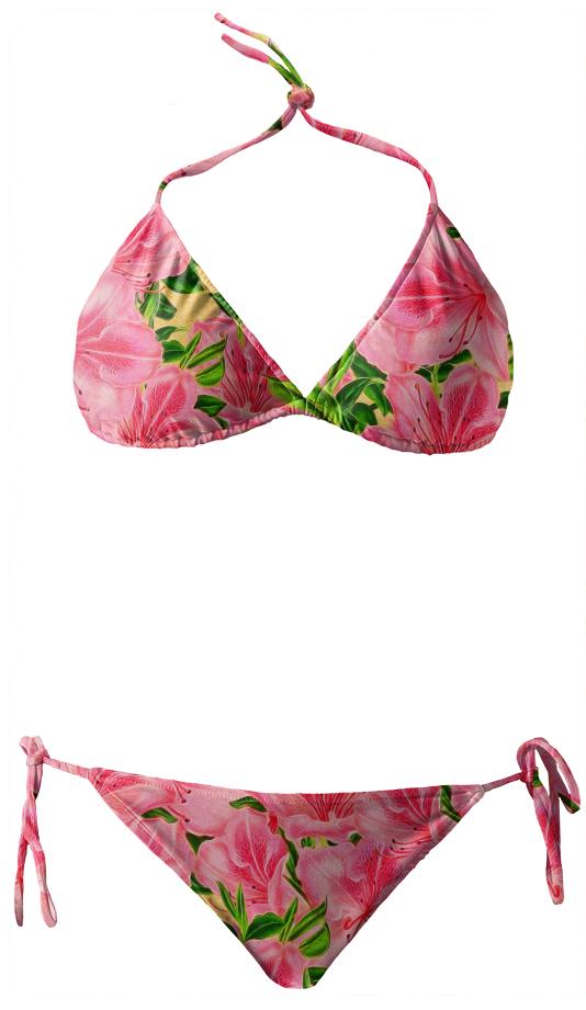Pink Botanical Bikini