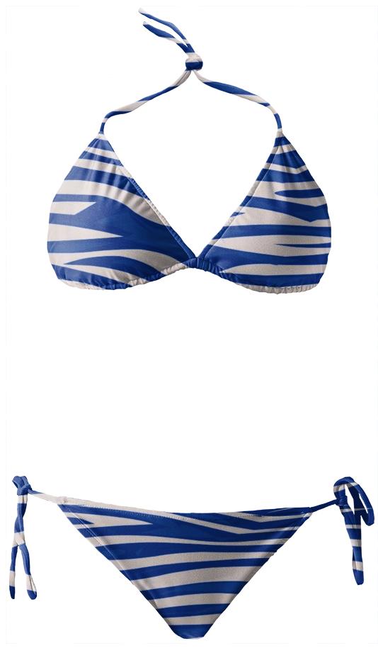Blueberry Zebra Abstract Bikini